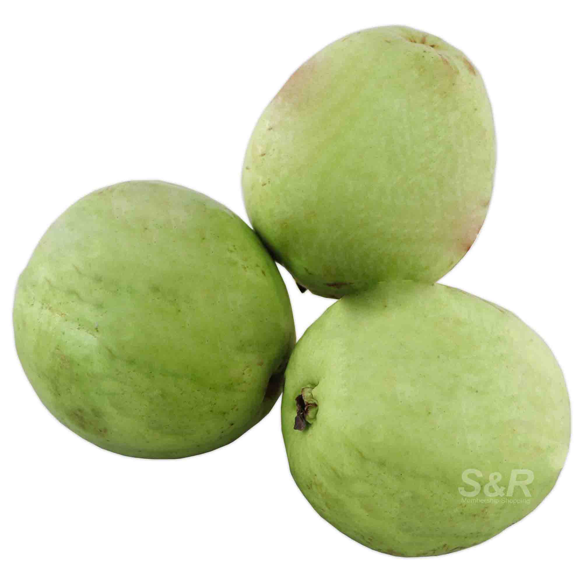 S&R Davao Guapple approx. 1.5kg S&R Davao Guapple approx. 1.5kg